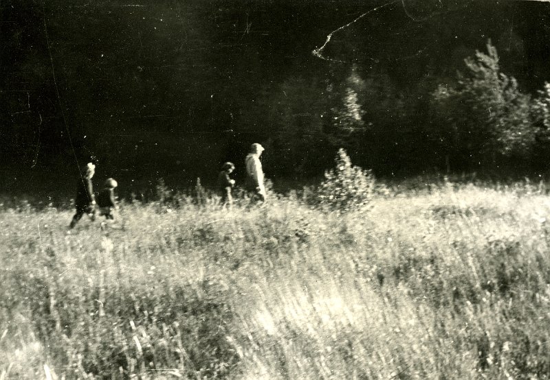 KKE 4537.jpg - Grzybobranie. Witold Przegaliński z wnuczętami, fot. Wacław Krukowski, Łomy, 1971 r.